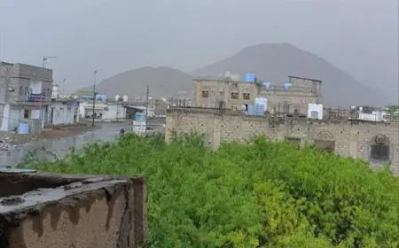 عاجل : العثور على جثة قتيل شمال لودر بمحافظة أبين